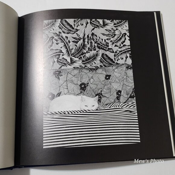 Black & White Cats Hardcover – January 1, 1992 - Picture 6 of 9